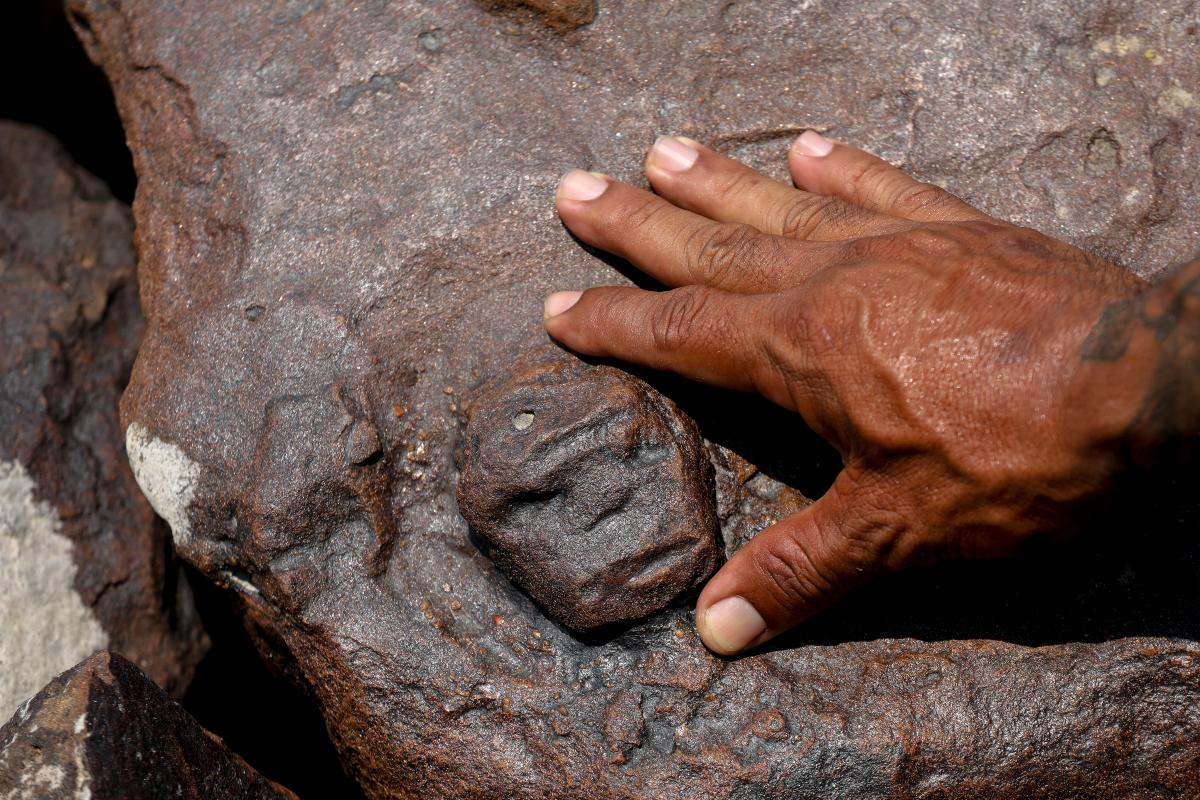 Sequ A En El Amazonia Deja Al Descubierto Grabados Rupestres