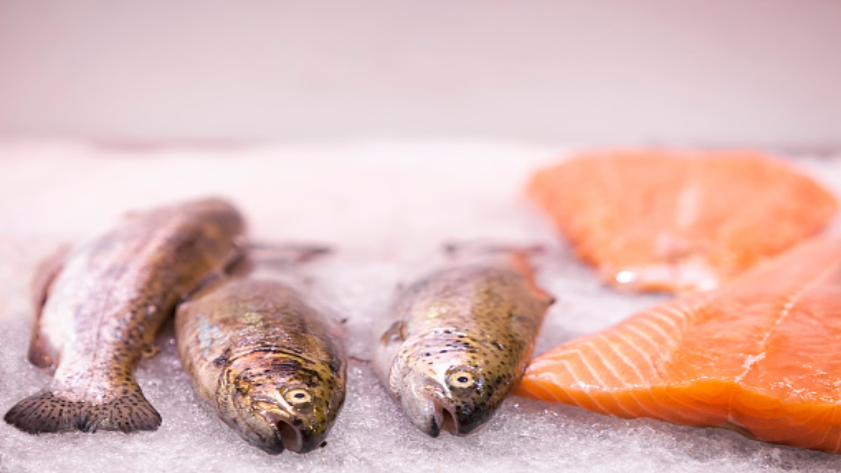 Compra el ideal: tips para elegir pescado fresco durante la Cuaresma