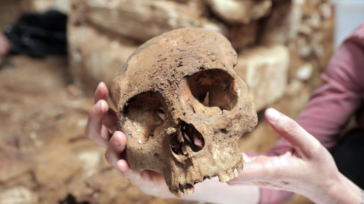 Con colmillos y todo: hallan extraño cráneo de un supuesto nahual en Coahuila