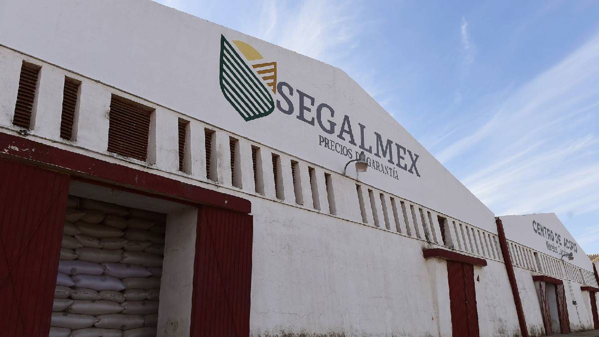 Cae René Gavira, exdirectivo de Segalmex acusado de desfalco millonario