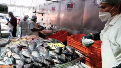 Venta de pescados en Cuaresma en La Viga