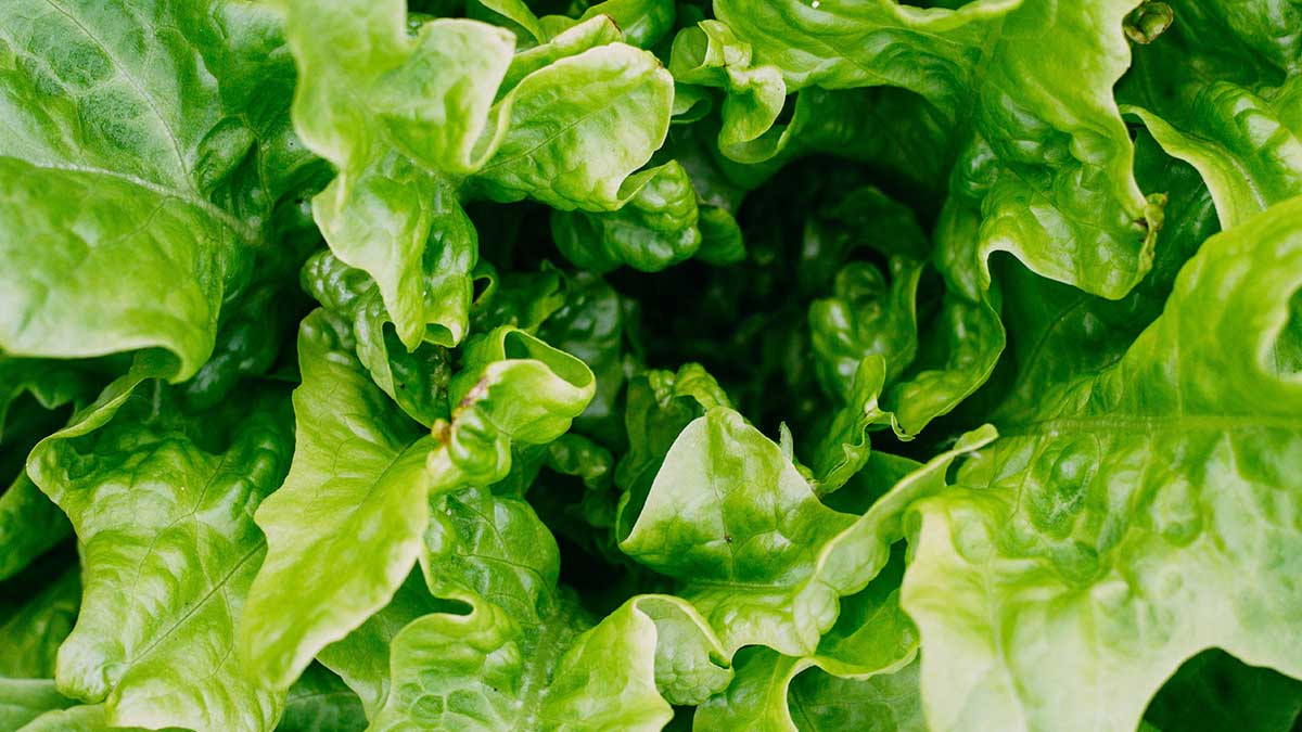 Abril: cuáles son las frutas y verduras de temporada