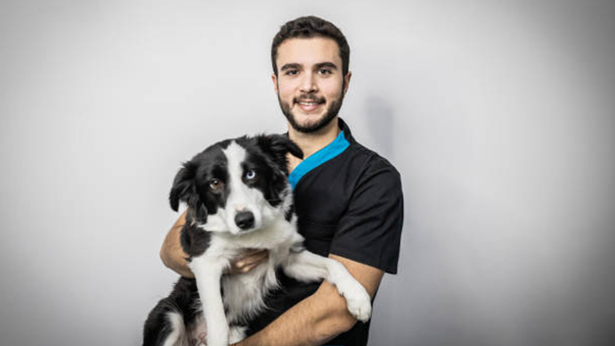 ¿Cómo elegir a un buen veterinario para tu mascota? Tips