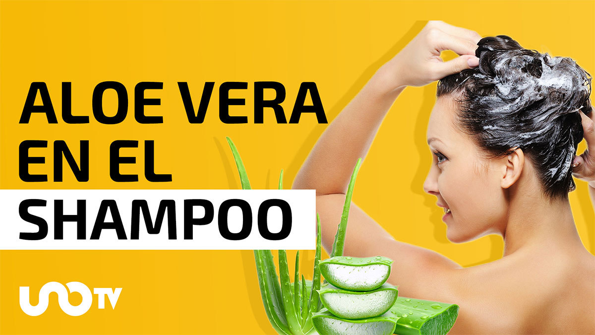 ¿Qué beneficios tiene el aloe vera en el shampoo?