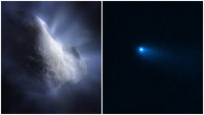 Telescopio James Webb halla agua en un raro cometa el cinturón principal