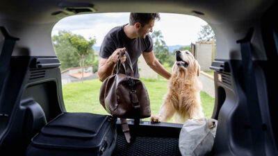 Cómo elegir un auto pet friendly