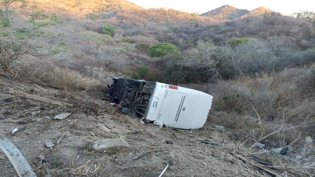 Autobús con equipo infantil de futbol de Colima cae a barranco en Jalisco; reportan al menos 9 heridos