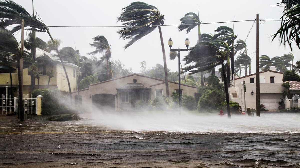 El cambio climático aumenta la intensidad de huracanes; al menos dos serán muy fuertes, según UNAM