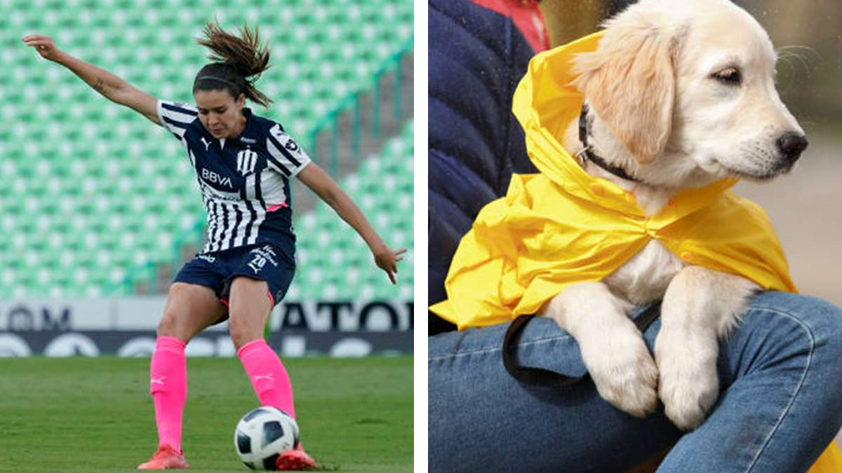 “Vecina guarde a mis perritos” Jugadora de Rayadas pide favor en plena transmisión del partido para que resguarden a sus mascotas de la lluvia