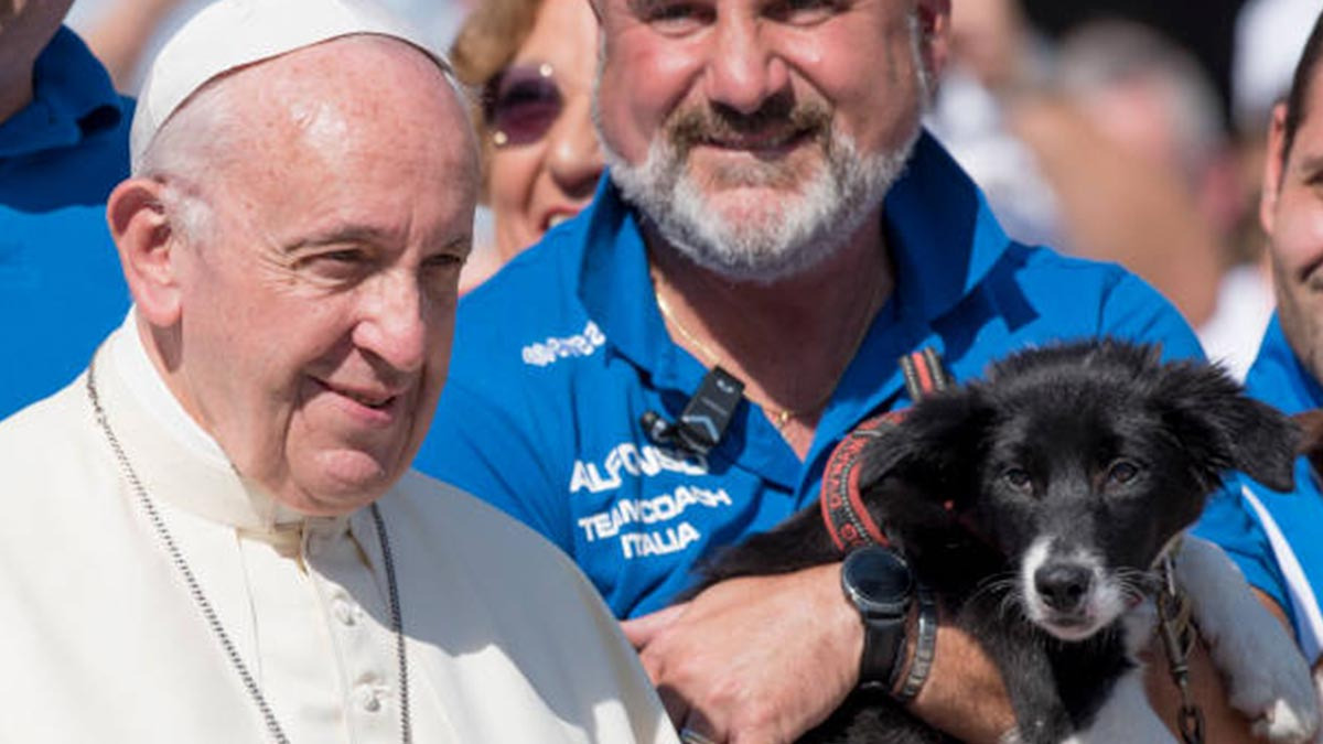 Papa Francisco se niega a bendecir a un perro y regaña a su dueña: Mascotas “Sustitutos mediocres” de la maternidad