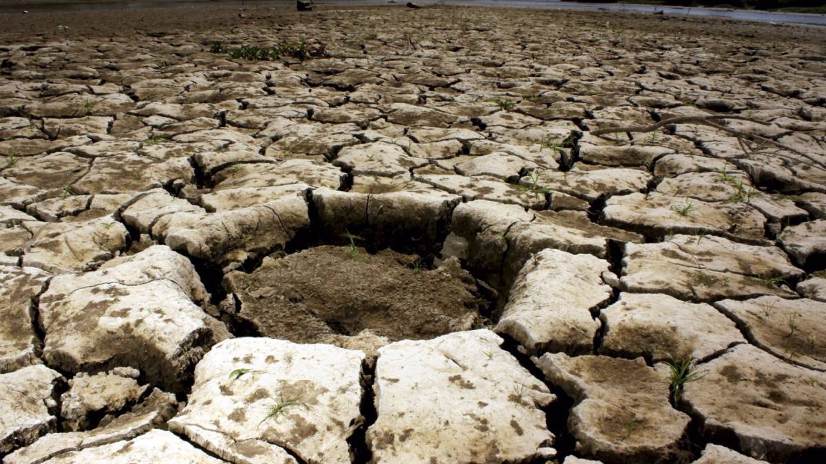 Más de 66 mil sinaloenses sufren efectos de la sequía