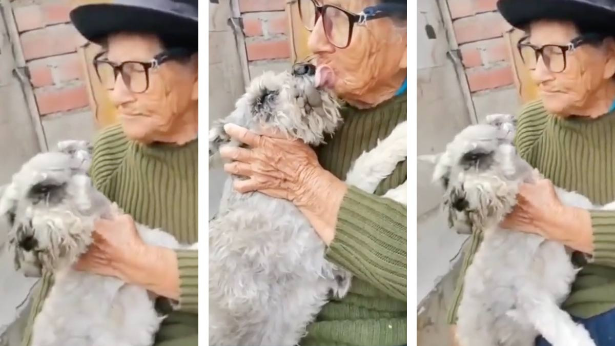 Abuelita de 103 años se reencuentra con su perro que creía perdido; mira la conmovedora escena