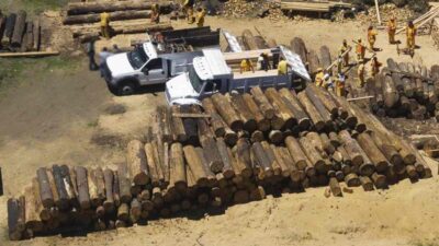 Desmantelan tres aserraderos clandestinos en CDMX