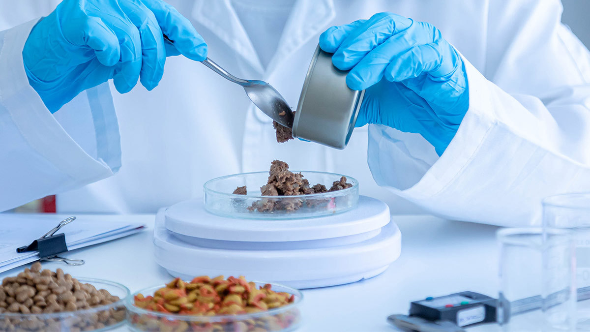 cuál es la mejor comida para cachorros para laboratorios