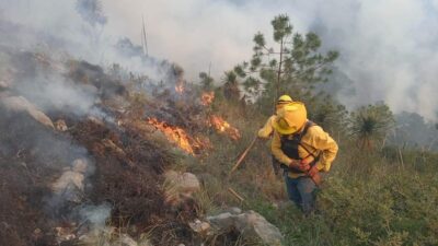 En Veracruz, las altas temperaturas provocaron la formación de incendios forestales