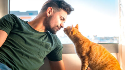 Hombre dice hablar el lenguaje de los gatos y ellos lo entienden