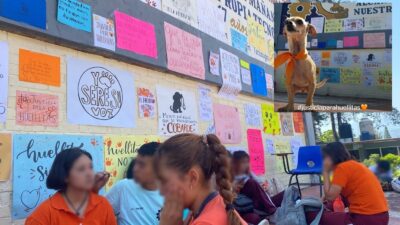 Exigen justicia para “Huellitas”, perrito asesinado y torturado por alumna de prepa en Puebla