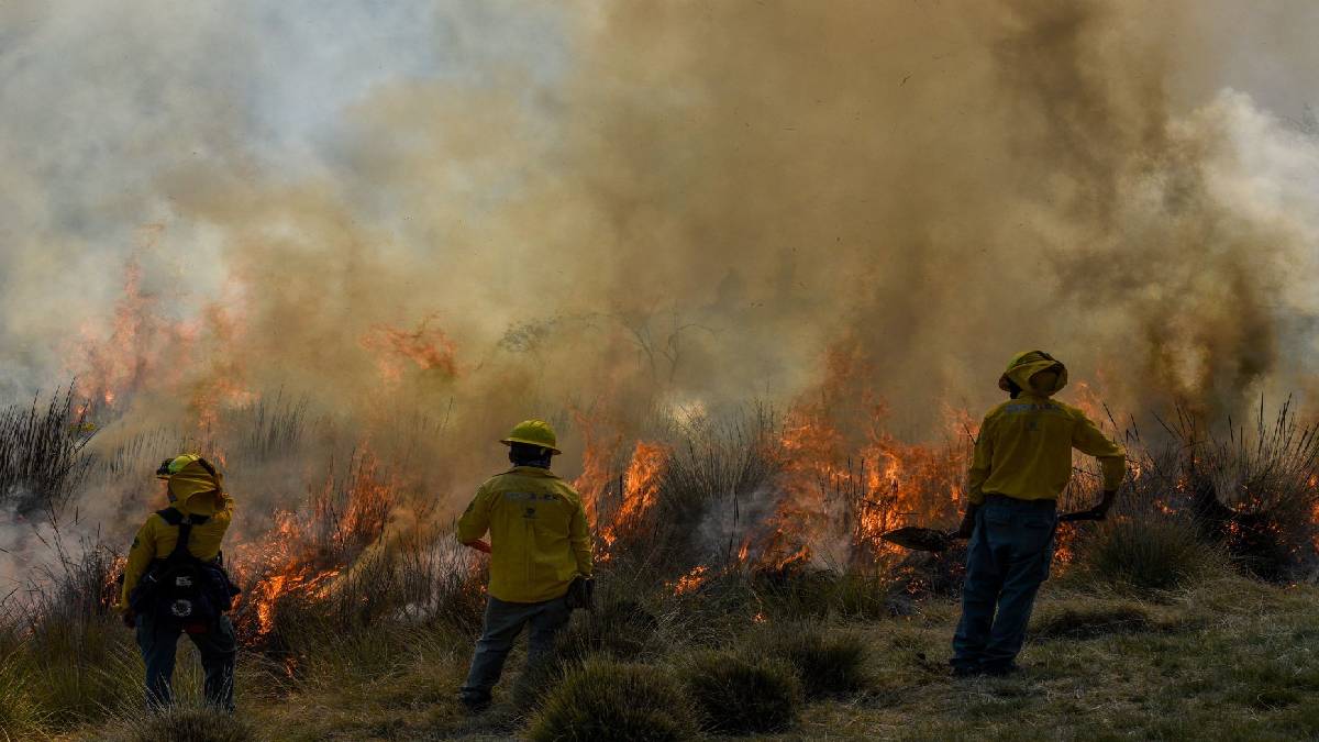 Incendios Forestales En México Repórtalos A La Conafor Unotv