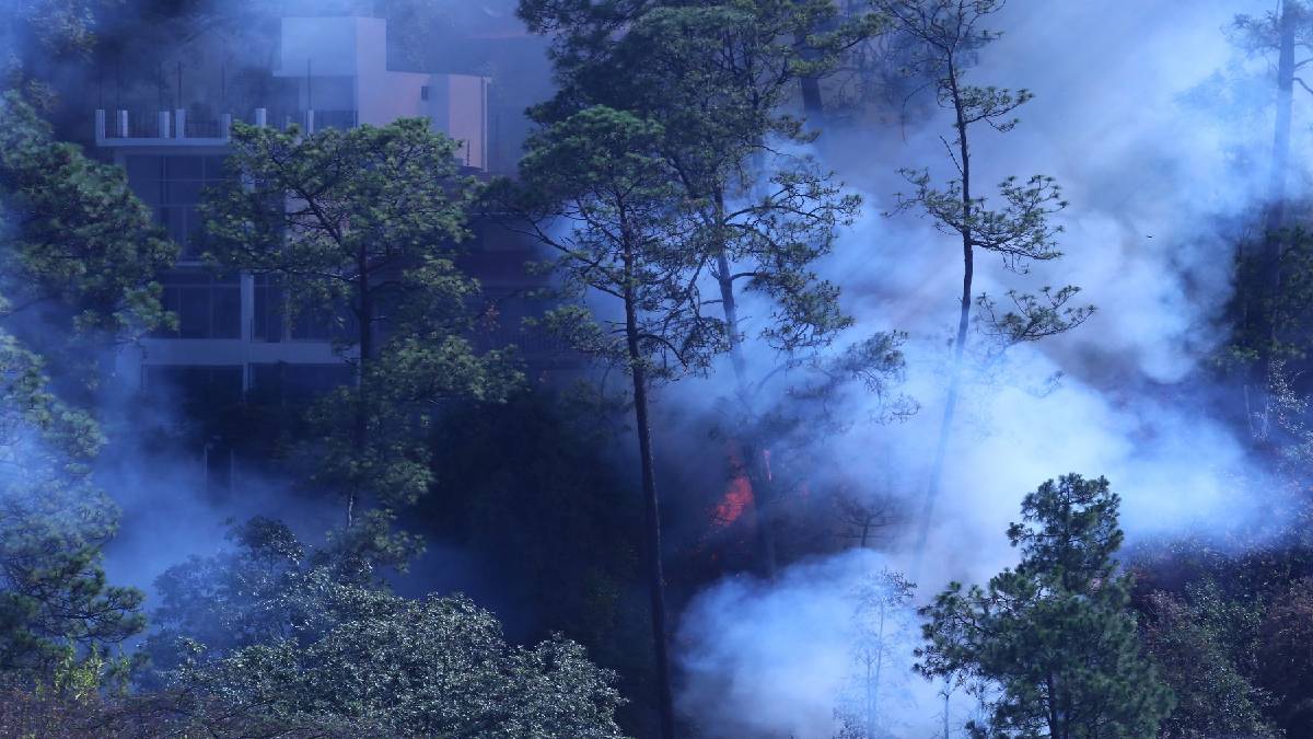 Incendios Forestales En México Repórtalos A La Conafor Unotv 9508