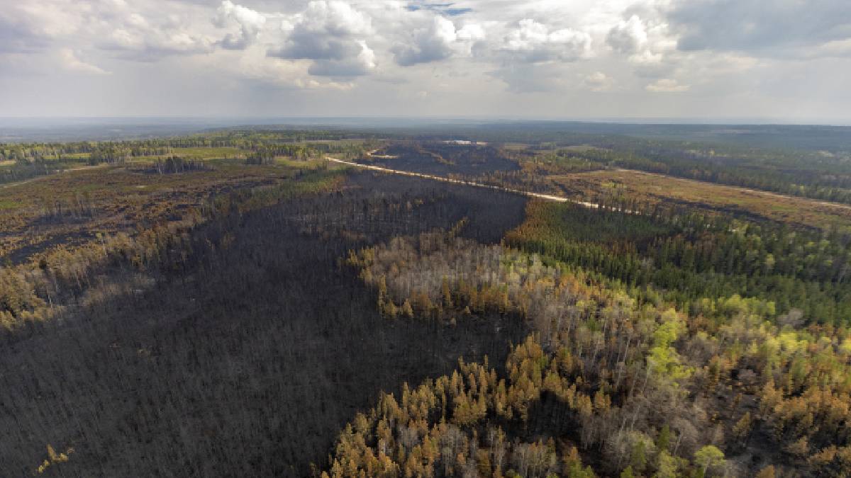 Quebec registra una cantidad de incendios forestales sin precedentes en Canadá