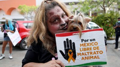 Enviará AMLO iniciativa de reforma enfocada a protección animal