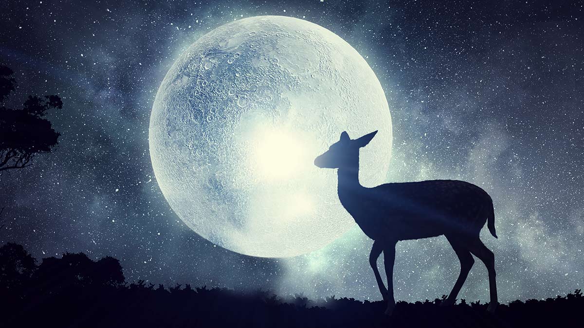 Luna de Ciervo 2023: cuándo y cómo verla esta noche