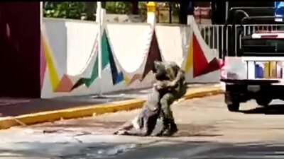 Militar Rescata A Hombre Que Era Atacado Por Abejas