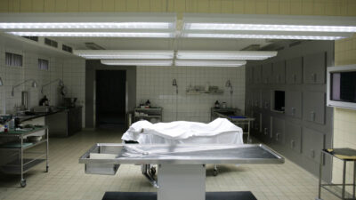 Morgue Harvard Cadaveres