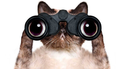 ¿De dónde viene la expresión “un ojo al gato y el otro al garabato”?