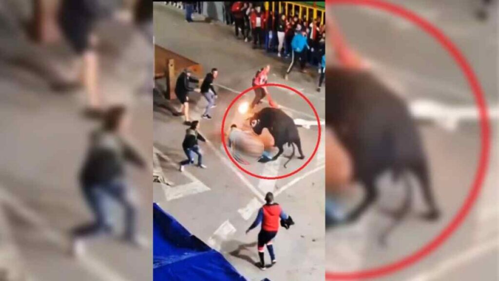 Encienden fuego en cuernos de toro y animal embiste a hombre en España