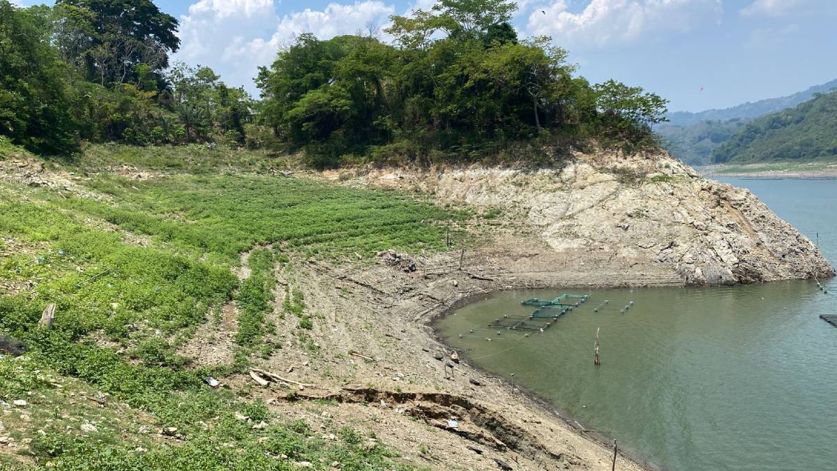 65% del territorio de Chiapas padece sequía en lo que va de este 2023