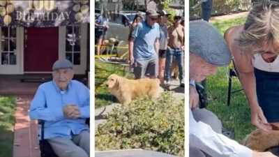 Abuelito que acariciaba a perros del barrio es sorprendido en su cumpleaños número 100 con la visita de más de 200 de ellos