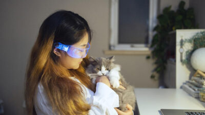 Japón crea aplicación para reconocer el dolor de los gatos
