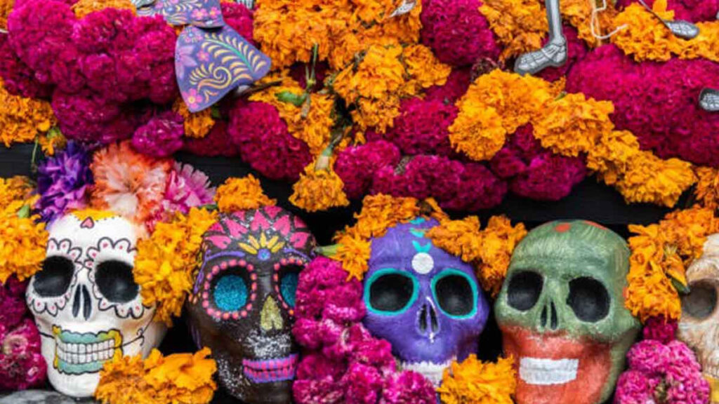 ¿Cómo “nació” el color rosa mexicano? Aquí te contamos la historia