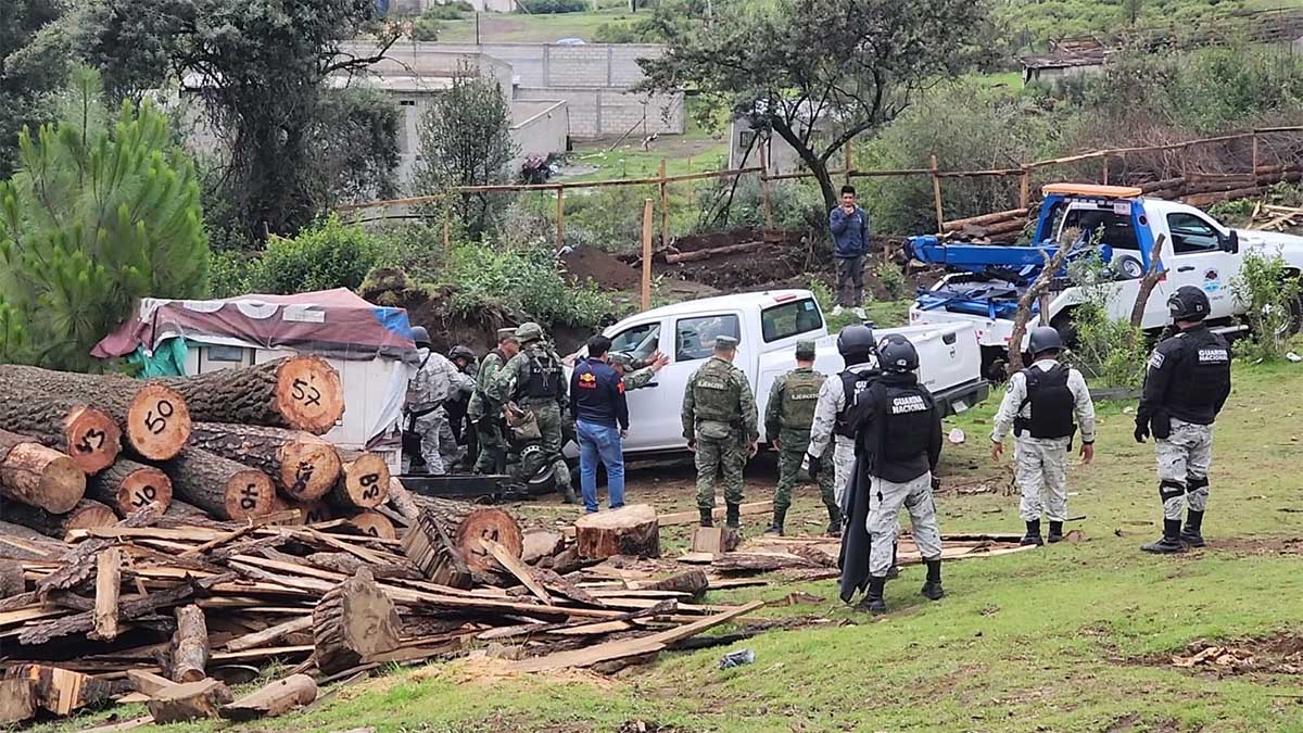 Sedena y Guardia Nacional desmantelan 2 aserraderos ilegales en Huitzilac, Morelos