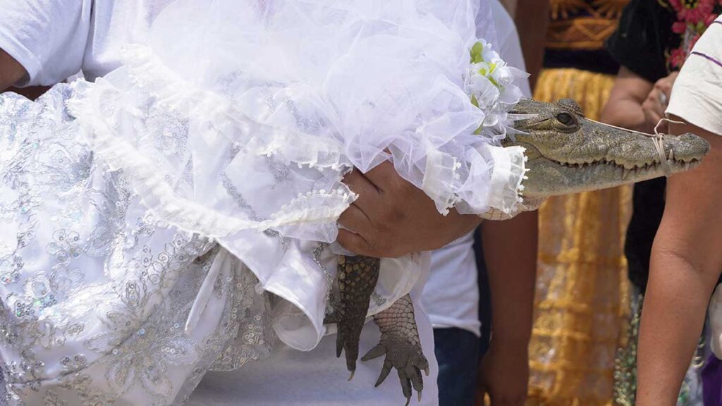 Alcalde de Oaxaca se casa con un caimán como parte de un ritual