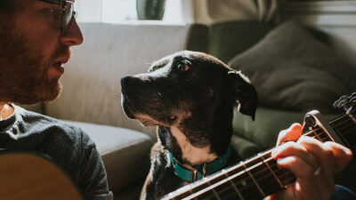 Las canciones más bonitas para dedicarle a tu perro