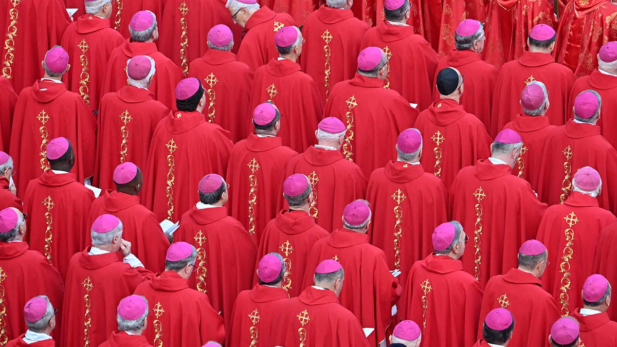 Los cardenales del Papa Francisco