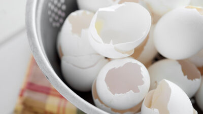 Cáscaras de huevo en la lavadora, para qué sirven