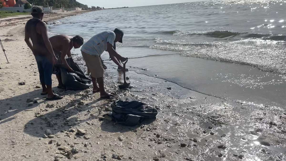 Derrame de combustóleo afecta playas de Campeche