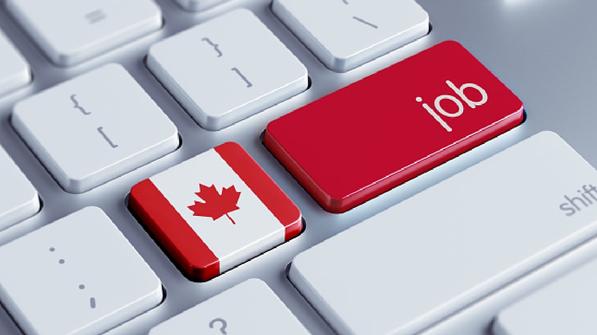 ¿No tienes chamba? Canadá ofrece empleo con sueldo de hasta 30 mil pesos