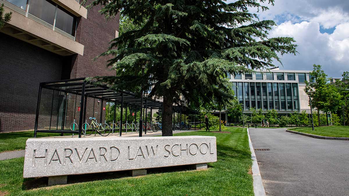 EU investiga práctica de Harvard de favorecer a estudiantes blancos