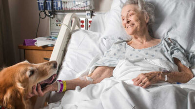 Bélgica: Hospital abre pabellón para que mascotas visiten a enfermos