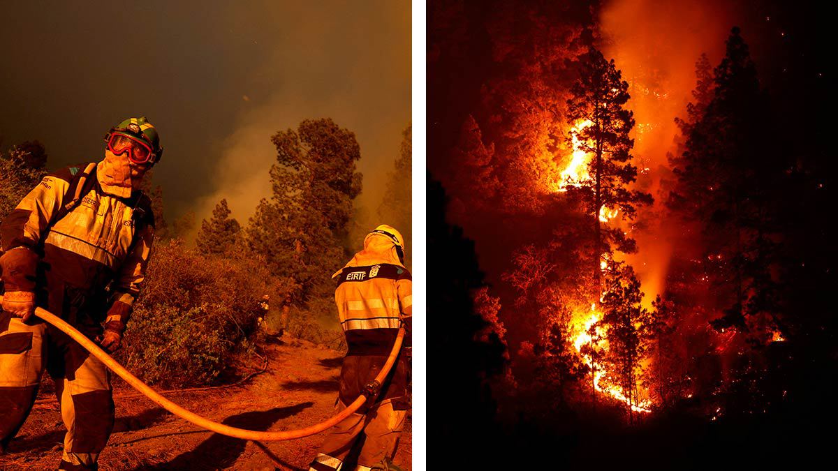 Imágenes impactantes de los incendios en Europa: España, Italia, Grecia y más
