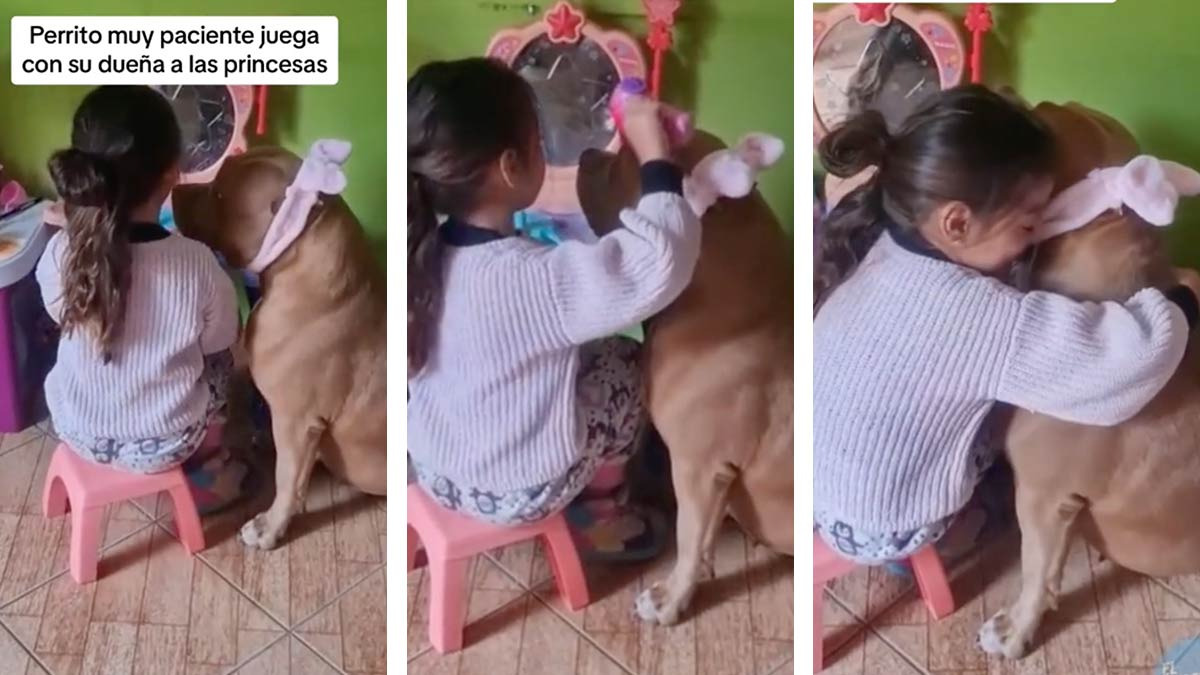 Niña juega con su perro a las princesas y lo hace sentir hermoso - UnoTV