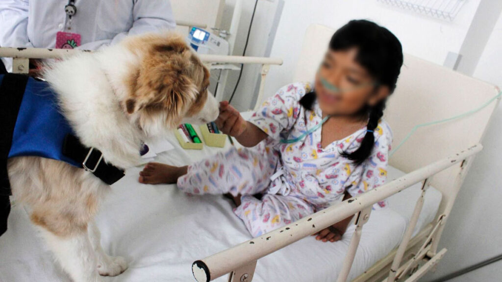 perros-dogtores-el-escuadron-canino-de-terapia-del-hospital-pediatrico-de-coyoacan