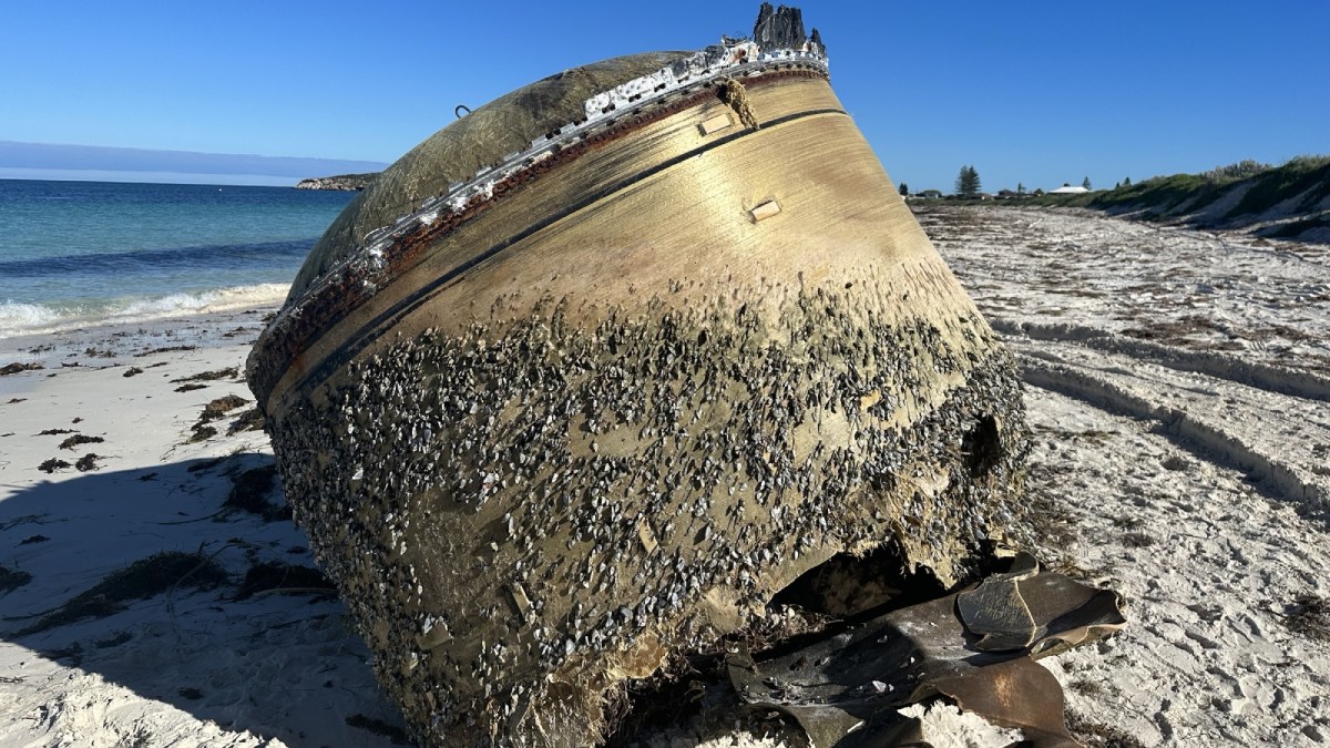 ¿Es una bola extraterrestre? Investigan aparición de misterioso objeto en playa de Australia
