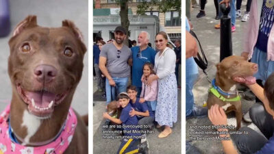 Mocha: perra se reencontró con su familia en evento de adopción
