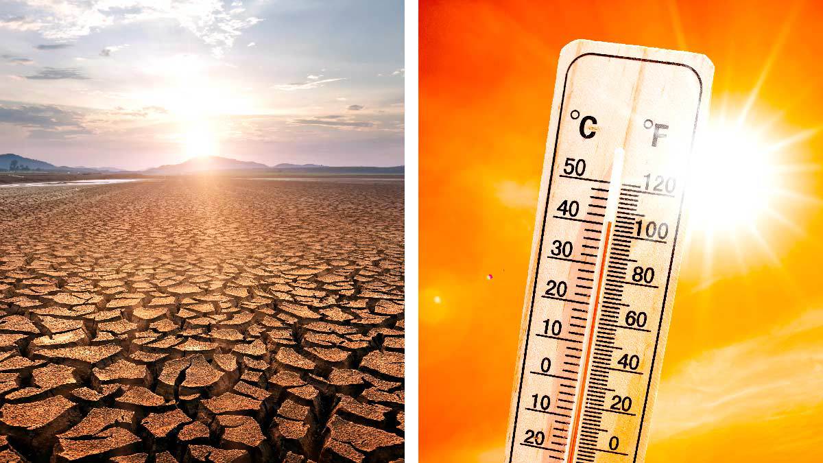 Alarman sequía y calor en México: llegamos a 50.2 grados; es récord