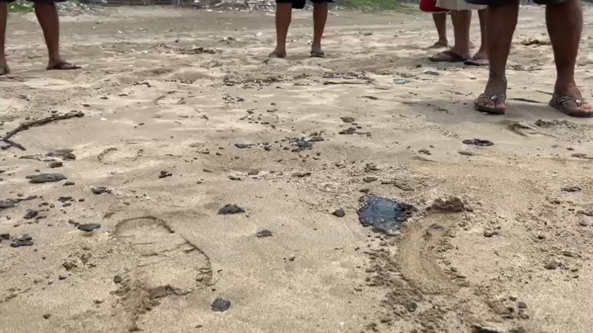 Tabasco, en alerta: reportan presencia de petróleo en costas de Cárdenas tras derrame en Campeche
